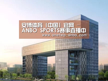 案例展示四