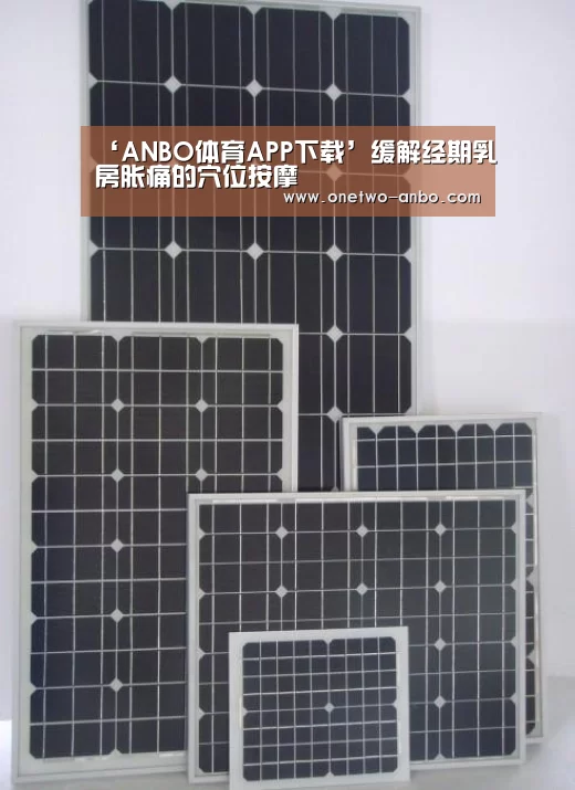 ANBO体育APP下载