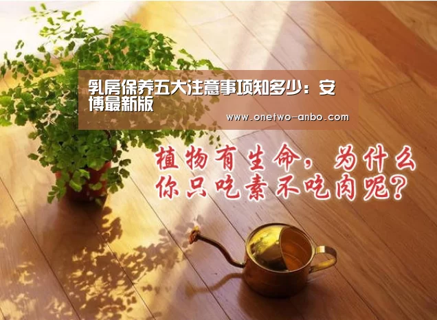 ANBO体育APP下载